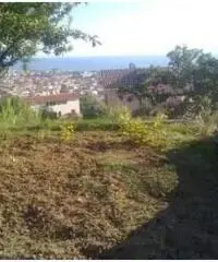 Vendita Villa in via Pezzotti, 6 Vendita Villa in via Pezzotti, 6