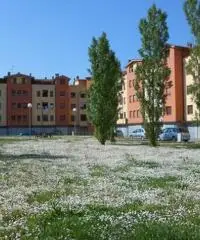 OTTIMO INVESTIMENTO MOLINELLA OTTIMO INVESTIMENTO MOLINELLA