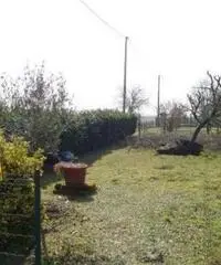 Vendita appartamento mq. 88 - Zona Alberone Vendita appartamento mq. 88 - Zona Alberone