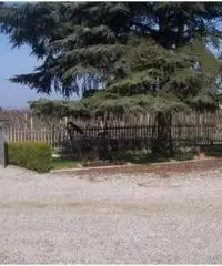Vendita porzione di casa mq. 180 - Zona Santa Maria Codifiume Vendita porzione di casa mq. 180 - Zona Santa Maria Codifiume