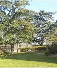 Vendita porzione di casa mq. 180 - Zona Santa Maria Codifiume Vendita porzione di casa mq. 180 - Zona Santa Maria Codifiume