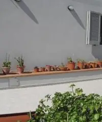 Appartamento in vendita a Empoli 55 mq  Rif: 171620 Appartamento in vendita a Empoli 55 mq  Rif: 171620