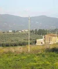 Colonica/casale in vendita a Cerreto Guidi 170 mq  Rif: 435371