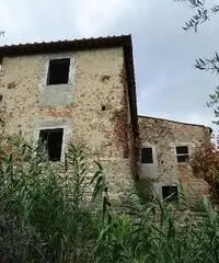 COLONICHE - COLONICA - FIRENZE