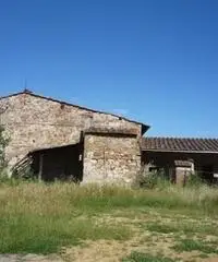 COLONICHE - COLONICA - FIRENZE