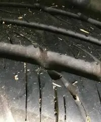 Mobilvetta Euroyacht 100 lx