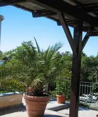 APPARTAMENTI VARIE MISURE 100 MT DAL MARE APPARTAMENTI VARIE MISURE 100 MT DAL MARE