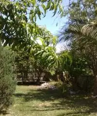 Apprtamento con giardino Apprtamento con giardino