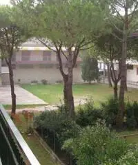 Appartamento in Affitto in trattativa riservata Appartamento in Affitto in trattativa riservata