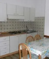 Appartamento in Affitto in trattativa riservata Appartamento in Affitto in trattativa riservata