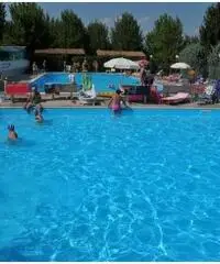 Piazzola Annaule 2017 Euro 2.350 Piazzola Annaule 2017 Euro 2.350