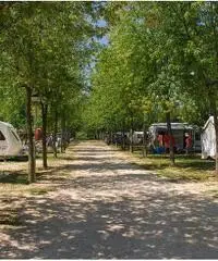 Piazzola Annaule 2017 Euro 2.350 Piazzola Annaule 2017 Euro 2.350
