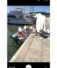 Barca5,5mt cabinata,senza patente,TRATTABBILISSIMA