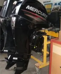 MERCURY F 40/60   2014 MERCURY F 40/60   2014