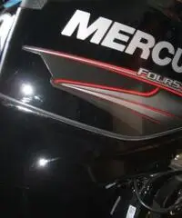 MERCURY F 40/60   2014 MERCURY F 40/60   2014