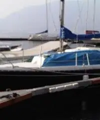 barca a vela C.N.S.O. daimio 23 anno 1978 lunghezza mt 7 barca a vela C.N.S.O. daimio 23 anno 1978 lunghezza mt 7