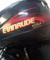 centralina evirundeficram 115hp anno 99