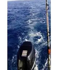 Barca Fiart Open 5,60 mt Barca Fiart Open 5,60 mt