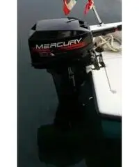 Motore fuoribordo Motore fuoribordo