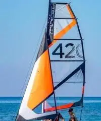 Minicat 420 emotion orange Minicat 420 emotion orange