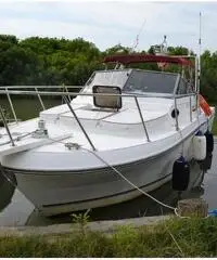 Robalo 2660 veramente perfette condizioni, dotazione nautica infinita Robalo 2660 veramente perfette condizioni, dotazione nautica infinita
