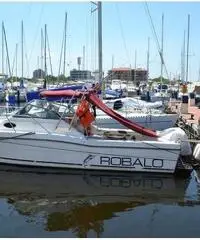 Robalo 2660 veramente perfette condizioni, dotazione nautica infinita Robalo 2660 veramente perfette condizioni, dotazione nautica infinita