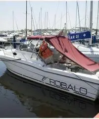 Robalo 2660 veramente perfette condizioni, dotazione nautica infinita Robalo 2660 veramente perfette condizioni, dotazione nautica infinita