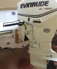 Gommone sacs 530 come nuovo