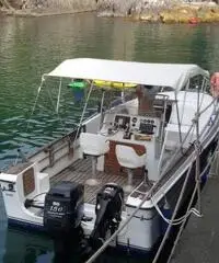 Fhisherman Gobbi 23  10.000 € trattabili Fhisherman Gobbi 23  10.000 € trattabili