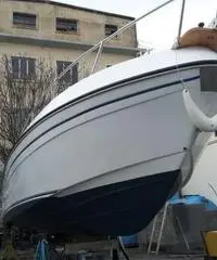 Fhisherman Gobbi 23  10.000 € trattabili Fhisherman Gobbi 23  10.000 € trattabili