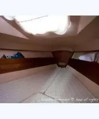 barca a vela Comet 910 plus – n. 353 / 81 barca a vela Comet 910 plus – n. 353 / 81