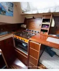 barca a vela Comet 910 plus – n. 353 / 81 barca a vela Comet 910 plus – n. 353 / 81