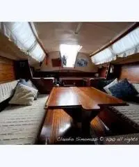 barca a vela Comet 910 plus – n. 353 / 81 barca a vela Comet 910 plus – n. 353 / 81