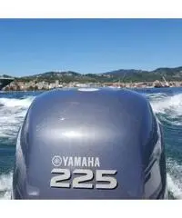 Joker clubman 24 Joker clubman 24