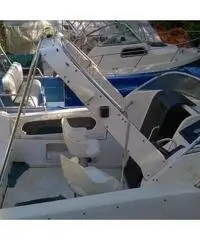 Pilotina Pilotina