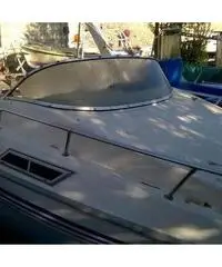 Pilotina Pilotina