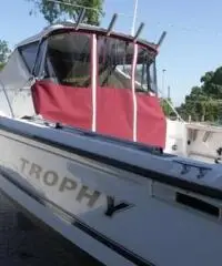 barca a motore BAYLINER Trophy anno 1995 lunghezza mt 7,5 barca a motore BAYLINER Trophy anno 1995 lunghezza mt 7,5