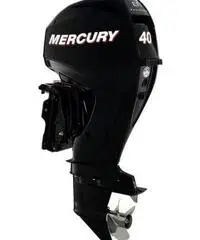 MOTORE MERCURY F 40 EFI PRO 4 TEMPI MOTORE MERCURY F 40 EFI PRO 4 TEMPI