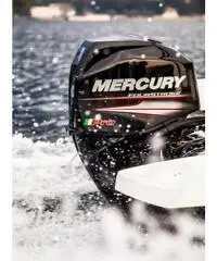 MOTORE MERCURY F 40 EFI PRO 4 TEMPI MOTORE MERCURY F 40 EFI PRO 4 TEMPI