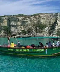 NOLEGGIO BARCHE