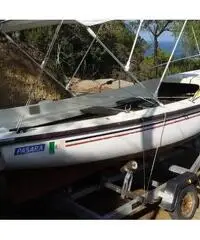 barca a motore ELAN MARINE Pasara anno 1990 lunghezza mt 5 barca a motore ELAN MARINE Pasara anno 1990 lunghezza mt 5
