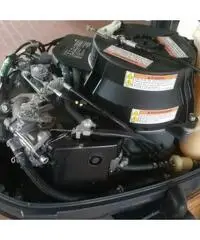 Tender Z-RAY 3,10mt + YAMAHA 4CV Tender Z-RAY 3,10mt + YAMAHA 4CV