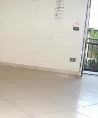 Acerra Vendita Casa indipendente