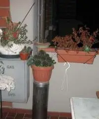 Appartamento a Prato