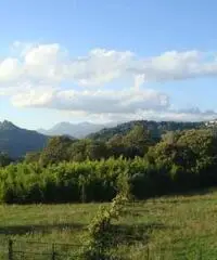 Villa in Vendita di 150mq Villa in Vendita di 150mq
