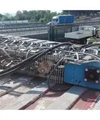NASTRO TRASPORTATORE per frutti di mare NASTRO TRASPORTATORE per frutti di mare