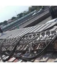 NASTRO TRASPORTATORE per frutti di mare NASTRO TRASPORTATORE per frutti di mare