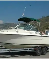 barca a motore PURSUIT S2 2270 kodiak anno 1999 lunghezza mt 6,55 barca a motore PURSUIT S2 2270 kodiak anno 1999 lunghezza mt 6,55