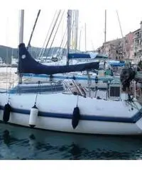 Barca vela 8 mt Mattia&Cecco Cecco8 usata Barca vela 8 mt Mattia&Cecco Cecco8 usata
