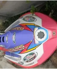 moto d'acqua Polaris 750 Euro 1.000 moto d'acqua Polaris 750 Euro 1.000